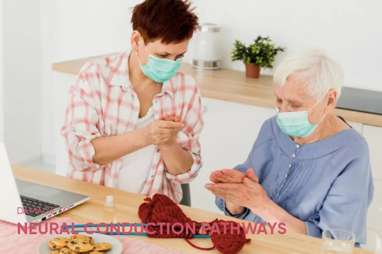 Damage to Neural Conduction Pathways After Stroke and Its Impact on Motor Function